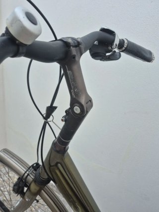 Bicicleta urbana verde