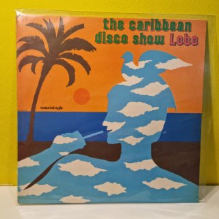 Lote de vinilos Maxi en muy buen estado