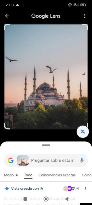 Vuelo avión turquia