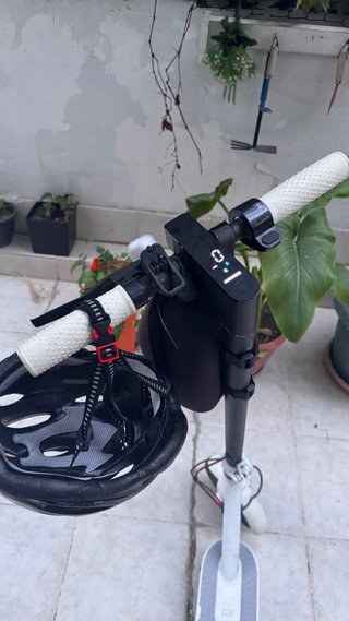 PatineteXiaomi M365.