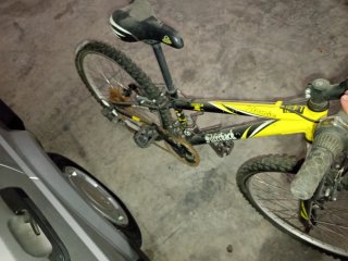Bicicleta Infantil Silverback Talla M