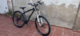 Bicicleta 29