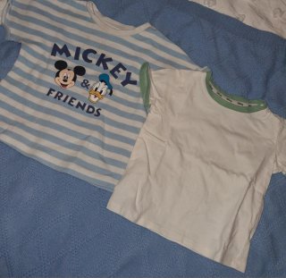 Lote Ropa Bebé Verano Disney 9- 12 Meses