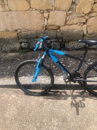 Bicicleta Bwin Rockraider
