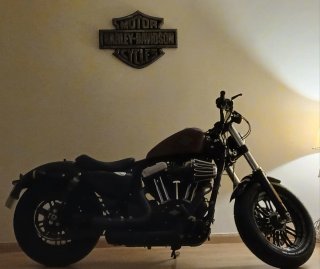 Harley Davidson 48 12000 km