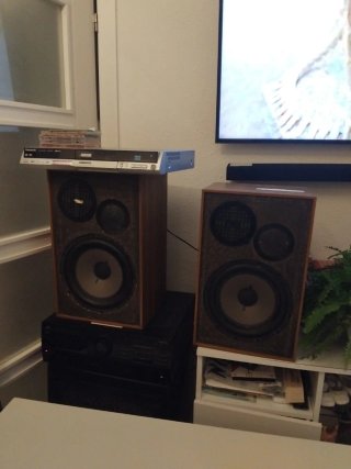 Altavoces Dynaco Scan Speak A30