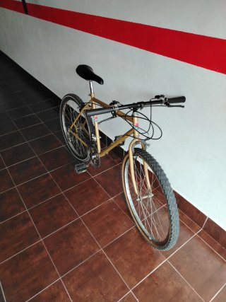 Bicicleta Montaña 26 Dorado
