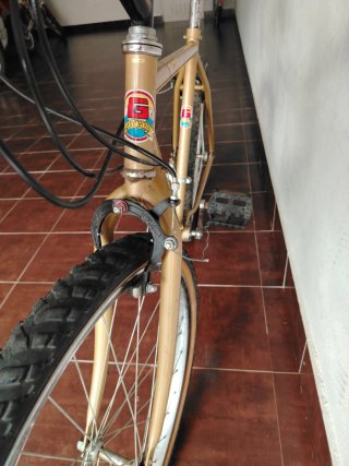 Bicicleta Montaña 26 Dorado