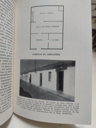 Propiedad, clases sociales y hermandades en la Baj