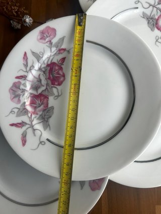 Juego 6 Platos Postre Porcelana Flores Rosas