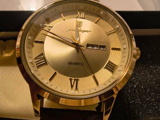 Quartz gold poedagar men's watch + brown strap