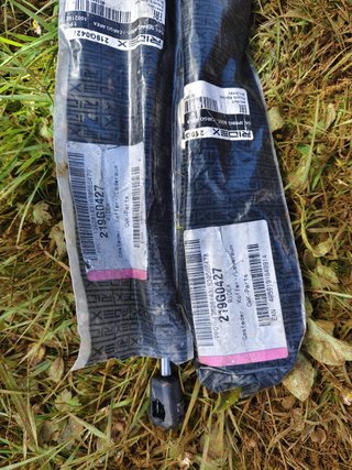 Muelles Neumáticos Maletero RIDEX 219G0427