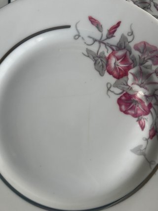 Platos llanos porcelana francesa