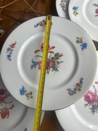 Platos postre porcelana francesa
