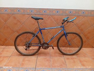 Bicicleta de montaña azul