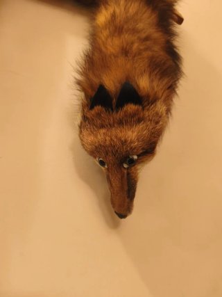 Cuello de piel auténtica