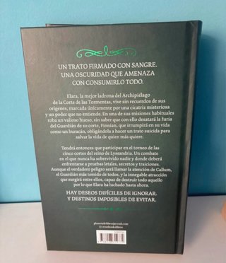 Libro Ecos de tormenta NUEVO