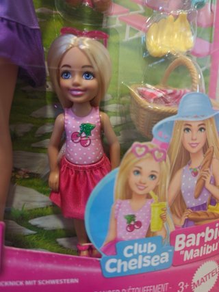 Barbie Family & Friends Sister Picnic