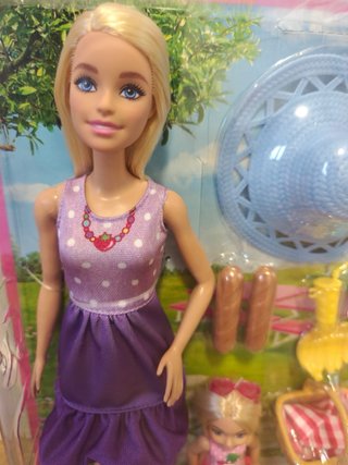 Barbie Family & Friends Sister Picnic