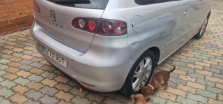 SEAT Ibiza 2008