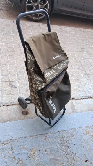 Carro de la compra plegable