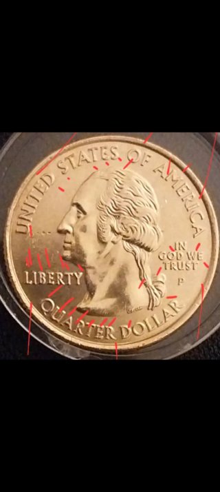 ​Wisconsin 2004-P Gold: Low Leaf + Error Virola (B