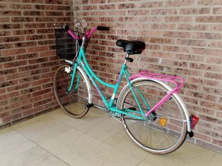 BH Bolero 25 Vintage Cruiser