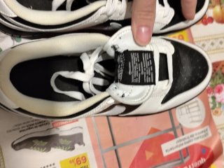 Nike Dunk Low Panda Inverso