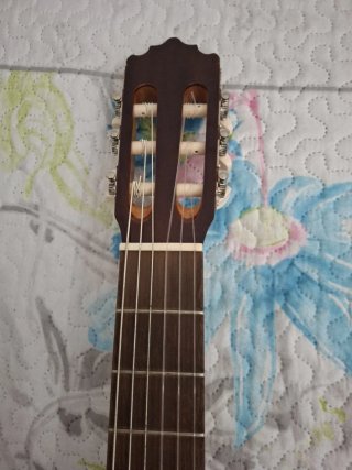 Guitarra Flamenca,Paco castillo