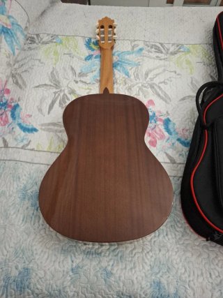 Guitarra Flamenca,Paco castillo