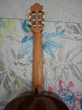 Guitarra Flamenca,Paco castillo
