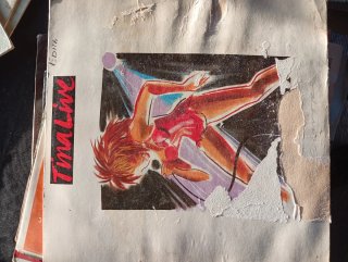 Tina Turner Vinilo Tina Live