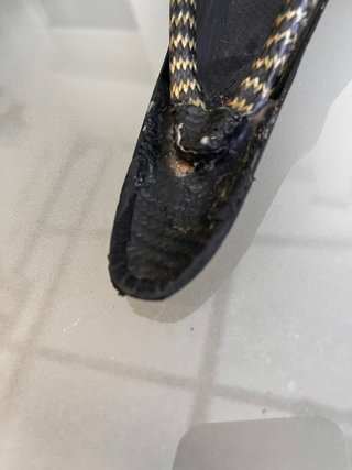 Sillín Tune Carbono