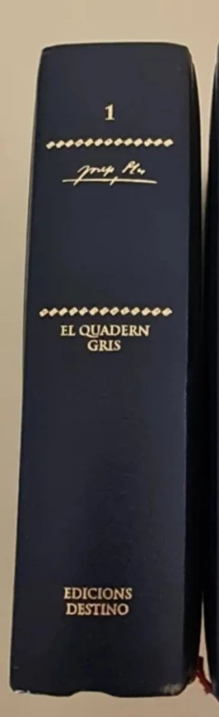 El quadern gris