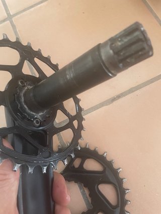Bielas Praxis Alba Monoplato