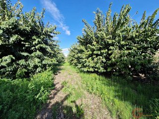 Casa rural en venta en Salobreña