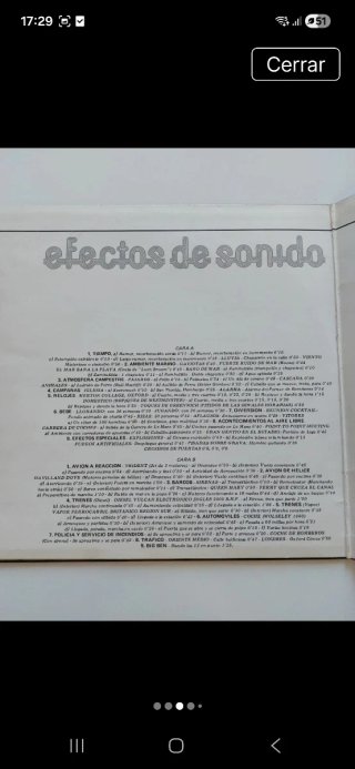 Vinile Effetti Sonori Diapason Circolo Lettori