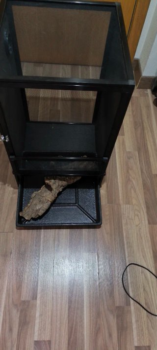 Terrario para camaleón y reptiles