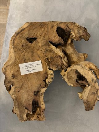 Legno teak grezzo decorativo
