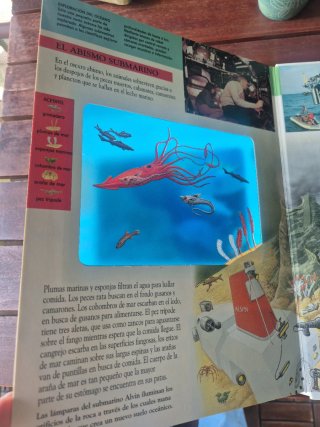 Nuestros Oceanos Misteriosos