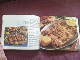 RECETARIO PRÁCTICO DE LA COCINA. Edición especi...