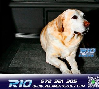 BANDEJA MALETERO PARA CITROËN