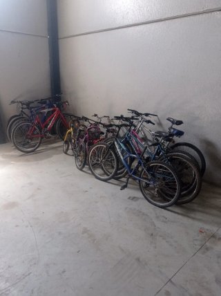 Lote de bicicletas variadas