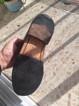 Zapatos Castellanos Urban Jungles Talla 40