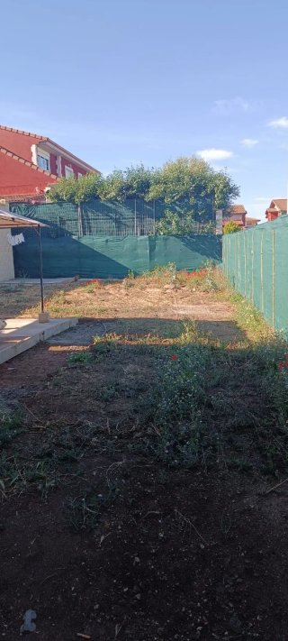 Jardinero en tu Zona | Poda de Setos