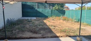 Jardinero en tu Zona | Poda de Setos