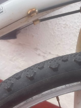 Bicicleta Blanca