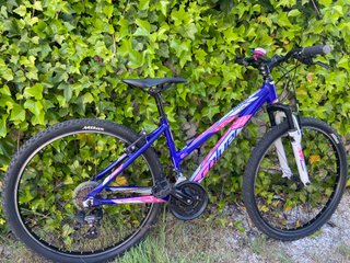 Bicicleta Couler 26 Musa