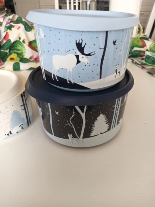 Set 3 Contenitori Tupperware Inverno