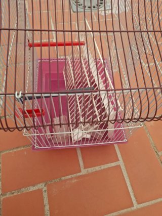 Jaula para pájaros rosa y blanca